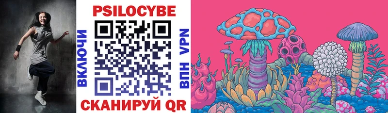 Галлюциногенные грибы Psilocybine cubensis  Купить  Лыткарино 