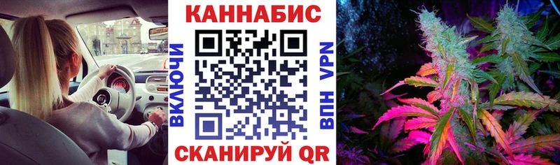 Конопля ГИДРОПОН  Купить где  Лыткарино 
